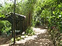 Sydney 004